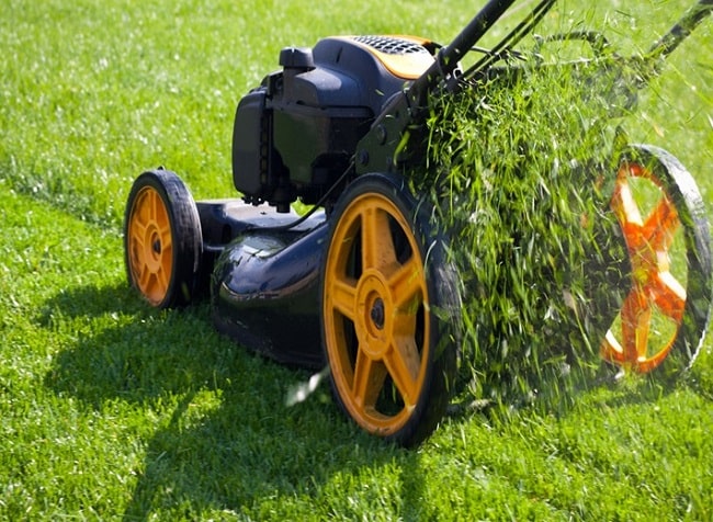 Thuê dịch vụ sẽ đảm bảo có đầy đủ máy móc, phương tiện để cắt cỏ