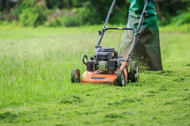 Đơn vị dịch vụ phát cỏ chuyên nghiệp sẽ đảm bảo an toàn trong quá trình lao động