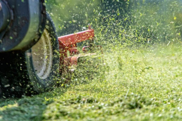 Thuê dịch vụ cắt cỏ ở Nhà Bè chuyên nghiệp giúp tiết kiệm thời gian, công sức