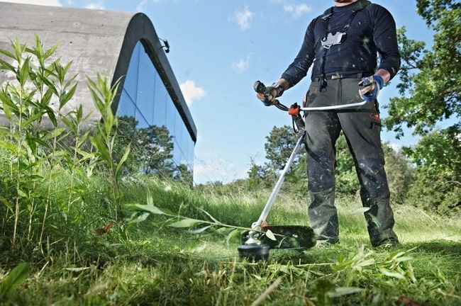Chọn những đơn vị có kinh nghiệm để thuê cắt cỏ, phát dọn cỏ hoang
