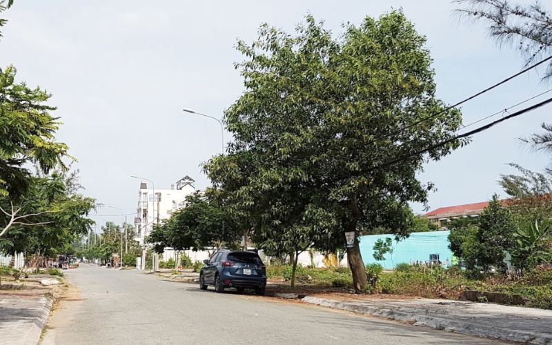 Lộ nhựa rộng rãi, ô tô quay đầu