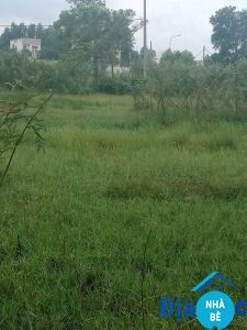 Bán đất hẻm 512 Nguyễn Văn Tạo Long Thới Nhà Bè 200m2