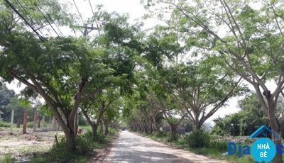 Bán đất mặt tiền đường Ngô Quang Thắm Long Thới Nhà Bè 1835m2