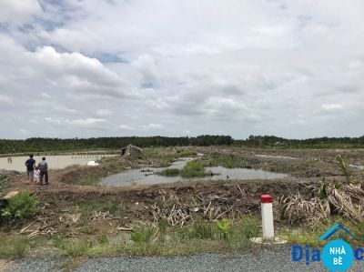 Bán đất đường Xương Cá 1 Long Thơi Nhà Bè 1354m2