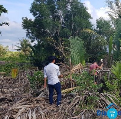 Đất Phước Vĩnh Đông Cần Giuộc 300m2