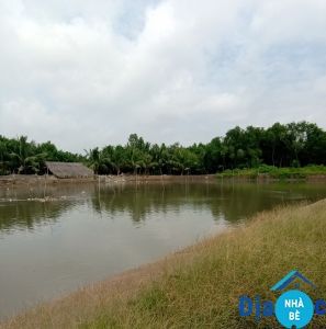Bán đất khu bầu diều ấp Vĩnh Thạnh Phước Vĩnh Đông