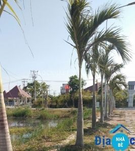 Bán đất dãy E kdc Nguyễn Bình Nhơn Đức