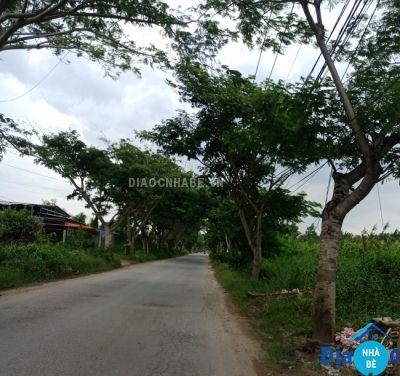 Đất lang đường 12 Long Thới Nhà Bè 2331m2