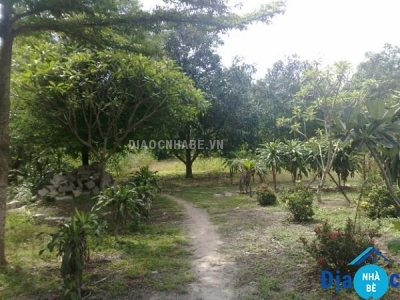 Bán đất trồng cây xã Phước Vĩnh Tây huyện Cần Giuộc