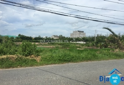 Bán đất lúa xã Bình Khánh Cần Giờ