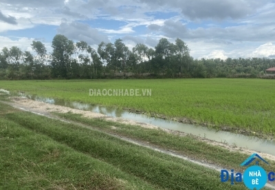 Bán đất lúa xã Long Hòa Cần Giờ