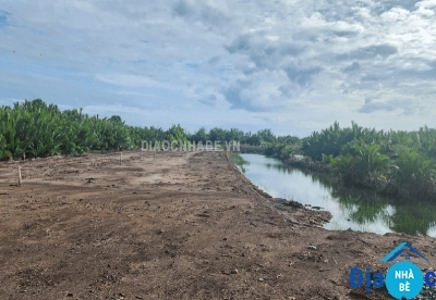 Bán đất lúa xã Tam Thôn Hiệp Cần Giờ