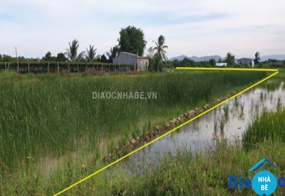 Bán đất lúa xã Thạnh An Cần Giờ