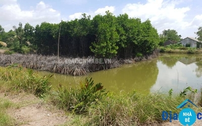Bán đất lúa thị trấn Cần Thạnh Cần Giờ