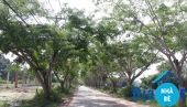 Bán đất mặt tiền đường Ngô Quang Thắm Long Thới Nhà Bè 1835m2 - ảnh 1