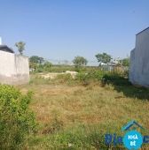 Bán đất hẻm 512 Nguyễn Văn Tạo Long Thới Nhà Bè 300m2 - ảnh 1