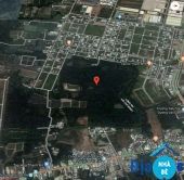 Bán đất nông nghiệp Hiệp Phước Nhà Bè 1000m2 - ảnh 1