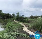 Bán đất vườn Nhơn Đức Nhà Bè - ảnh 2