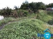 Bán đất vườn Nhơn Đức Nhà Bè - ảnh 3