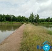 Bán đất khu bầu diều ấp Vĩnh Thạnh Phước Vĩnh Đông - ảnh 2