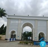 Bán đất có thổ cư đường Xương Cá 1 Long Thới - ảnh 2