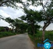 Bán đất đường Xương Cá 2 Long Thới 2724m2 - ảnh 2