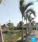 Đất dãy B kdc Nguyễn Bình Nhơn Đức - ảnh 2