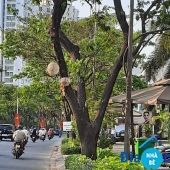 Cho thuê shophouse Dragon Parc 1 Nguyễn Hữu Thọ - ảnh 2