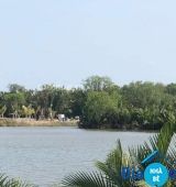 Bán đất đường Đào Sư Tích Phước Lộc - ảnh 1