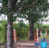 Dự án Sơn Nghèo Long Thới - ảnh 2