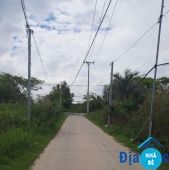 Bán đất đường xương cá 2 có 300m2 thổ cư - ảnh 2