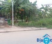 Bán đất đường Đào Sư Tích, Phước Lộc, Nhà Bè - ảnh 1