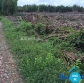 Bán đất ruộng Hiệp Phước Nhà Bè - ảnh 1