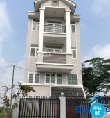 Đất nền dự án Anh Tuấn - ảnh 2