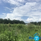 Bán đất hẻm 1651 Lê Văn Lương - ảnh 3