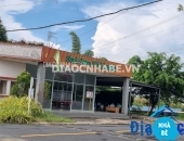 Bán đất mặt tiền đường 826C Long Hậu - ảnh 2