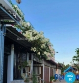 Bán nhà hẻm xe hơi xã Long Hậu gần saigon village - ảnh 3