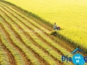 Bán đất trồng lúa xã Phước Vĩnh Tây - ảnh 1