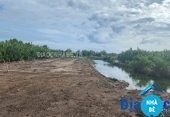 Bán đất lúa xã Tam Thôn Hiệp Cần Giờ - ảnh 1