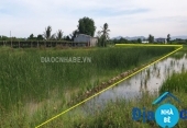 Bán đất lúa xã Thạnh An Cần Giờ - ảnh 1