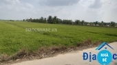 Bán đất lúa thị trấn Cần Thạnh Cần Giờ - ảnh 2