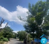 Bán đất đường số 5 T&T Thái Sơn - ảnh 3