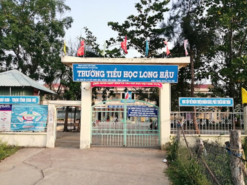 Giới thiệu về trường Tiểu học Long Hậu